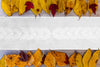 Table Runner, Handmade Embroidered Leaf Cotton Organdy Aura, White, 15'' x 72''